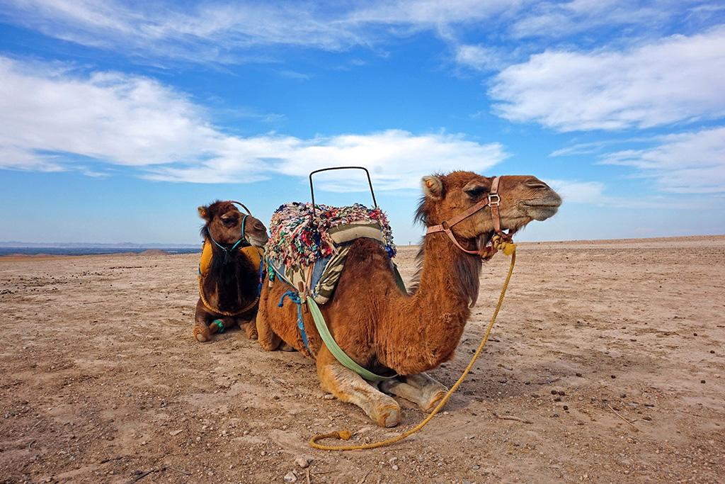 Circuit Entre Mer & Désert 3*, Circuit Maroc, Essaouira par Ôvoyages