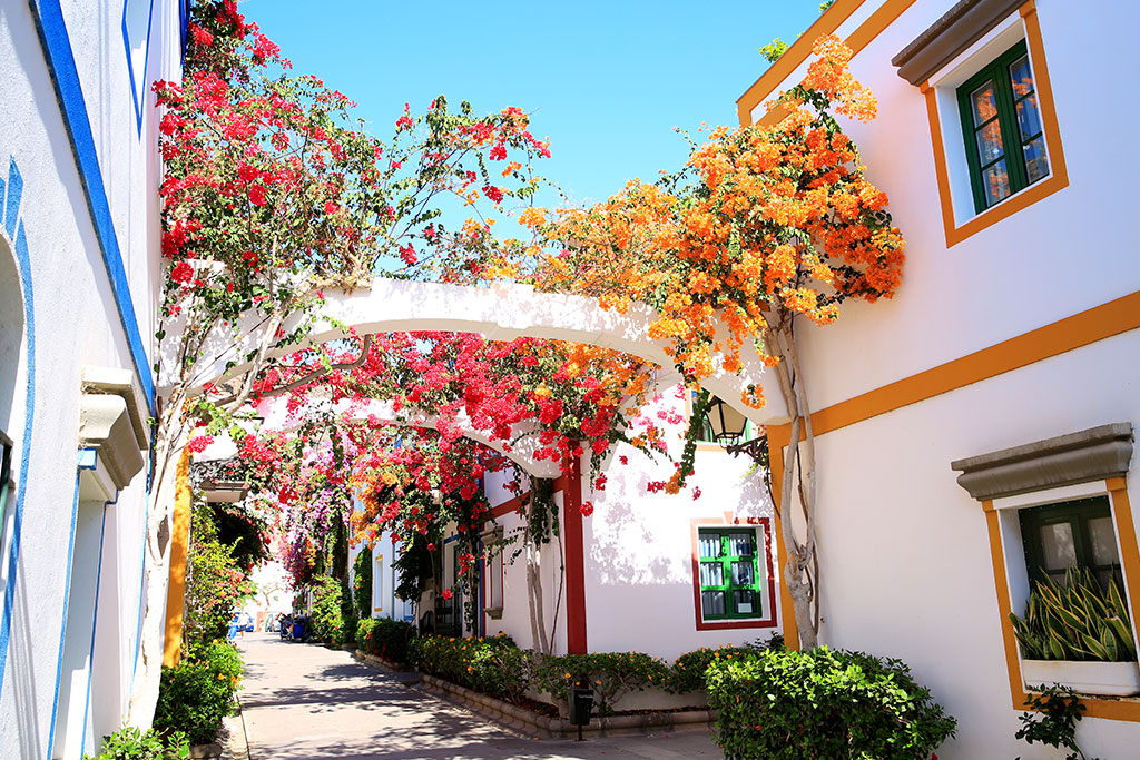 Image 11 du séjour Hotel Dunas Mirador Maspalomas 3* à Grande canarie, Canaries