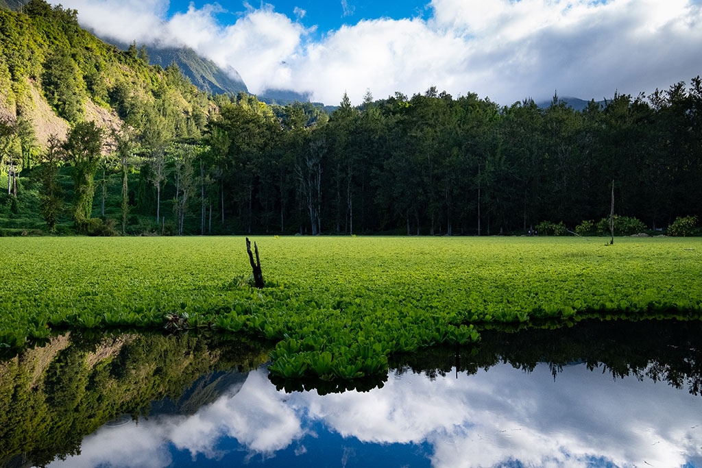 Autotour Les Essentiels de la Réunion 13 jours / 10 nuits, Séjour Réunion par Ôvoyages
