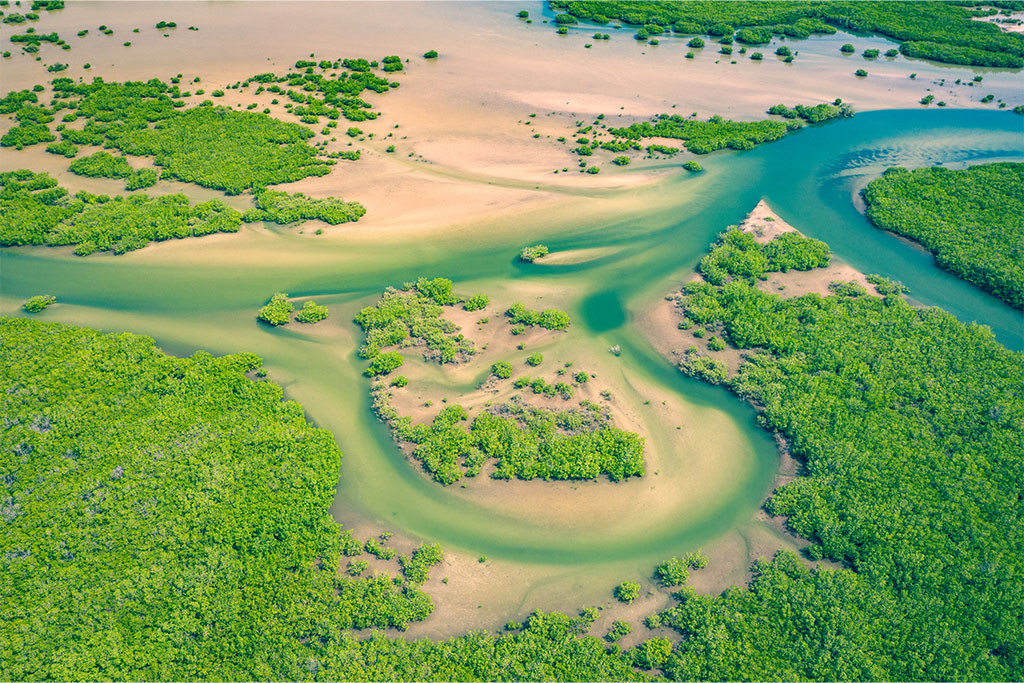 Ôcombiné Le Sénégal Authentique & Neptune Saly 4*, Combiné Sénégal par Ôvoyages