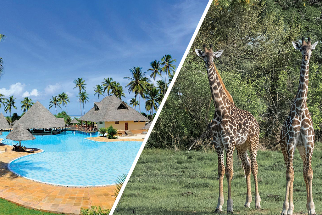 Combiné Neptune Pwani Beach Resort & Spa 5* & Safari 2 nuits dans la réserve de Selous en avion