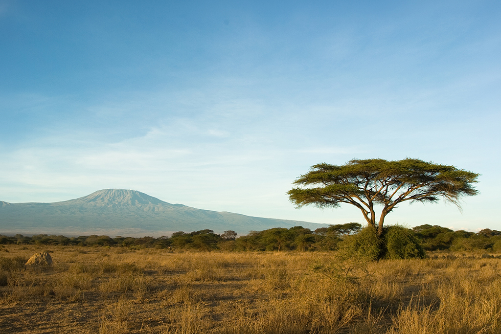 Hôtel Pinewood Beach Resort & Spa 4* Sup + Safari 3 nuits, Séjour Kenya par Ôvoyages