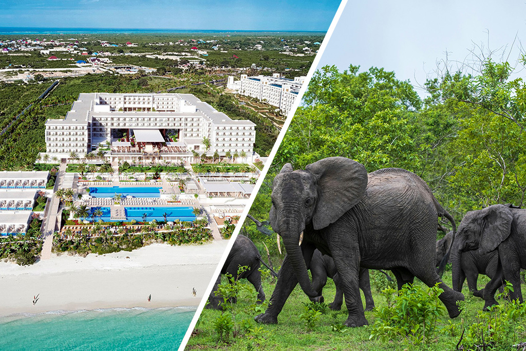Riu Jambo 4* + Safari 1 Nuit