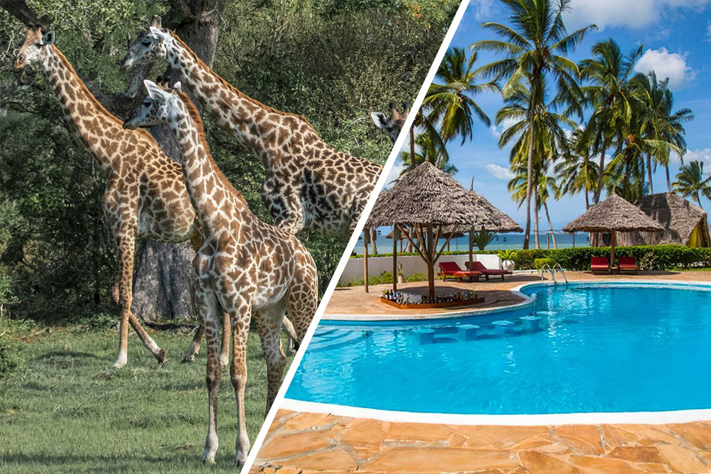 Antonio Beach Tree House & Spa 4* + Safari 1 nuit