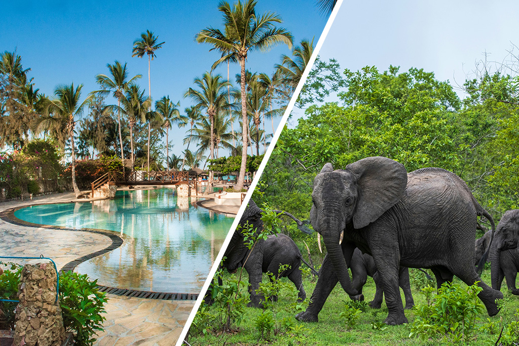 Jaz Amaluna 4* Adult Only +16 + Safari 1N en avion