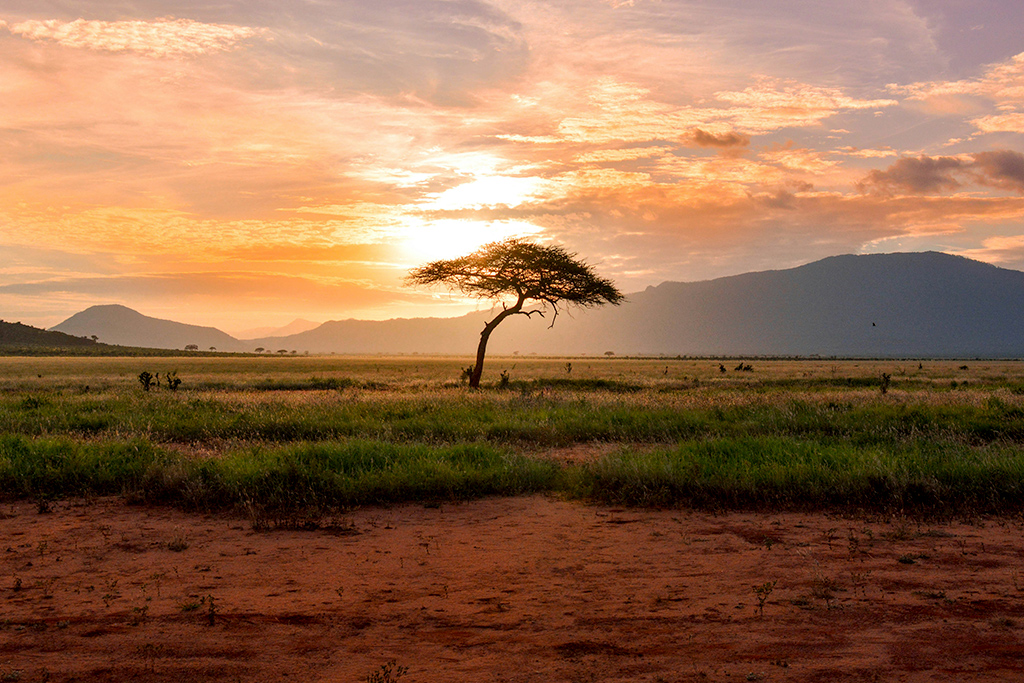 Hôtel Voyager Beach Resort 4* + Safari 2 nuits, Séjour Kenya par Ôvoyages