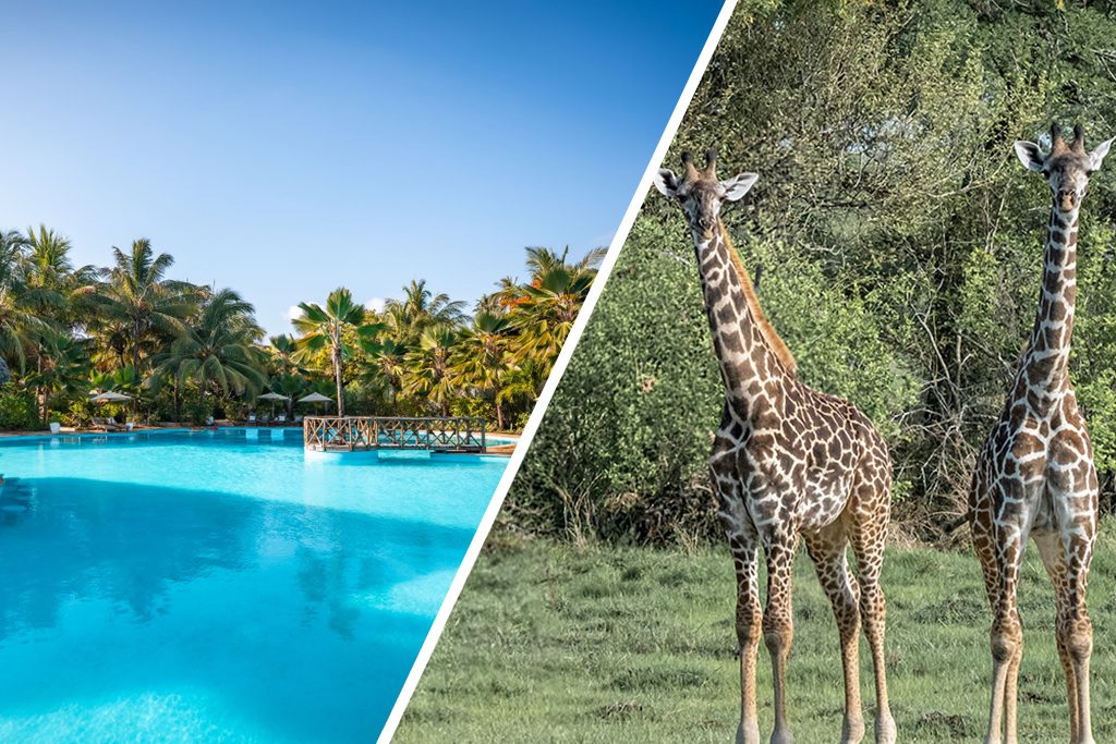 White Paradise + Safari 2 nuits 4*