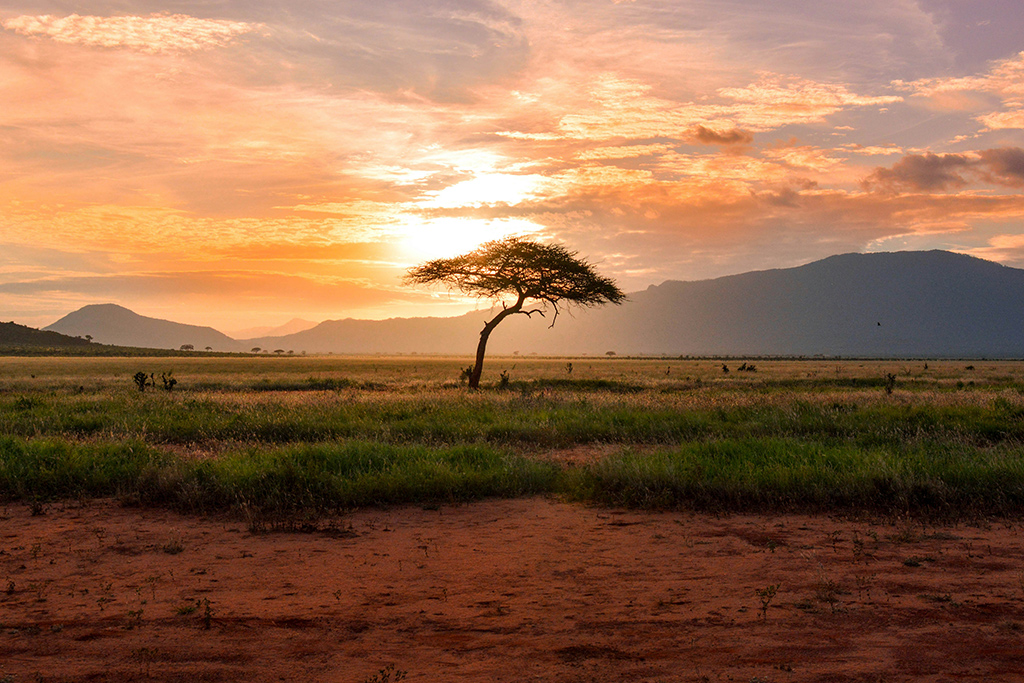 Ôcombiné - Ôclub Diamonds Malindi 5* & safari 2 nuits Tsavo, Séjour Kenya par Ôvoyages