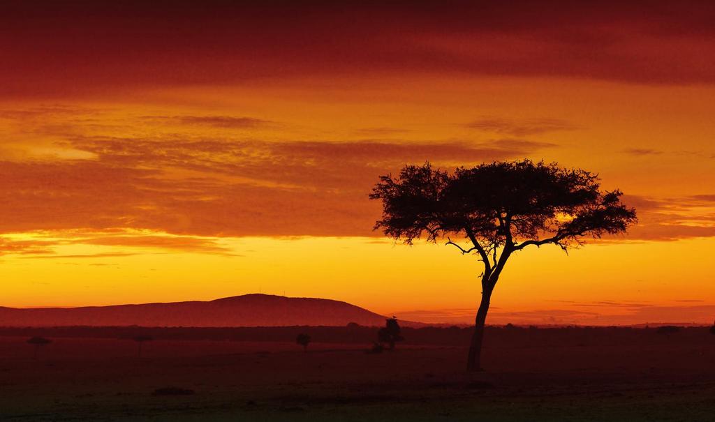 Hôtel Neptune Village Beach Resort & Spa 4* + Safari 3 nuits, Séjour Kenya par Ôvoyages Hôtel Neptune Village Beach Resort & Spa 4* + Safari 3 nuits, Séjour Kenya par Ôvoyages