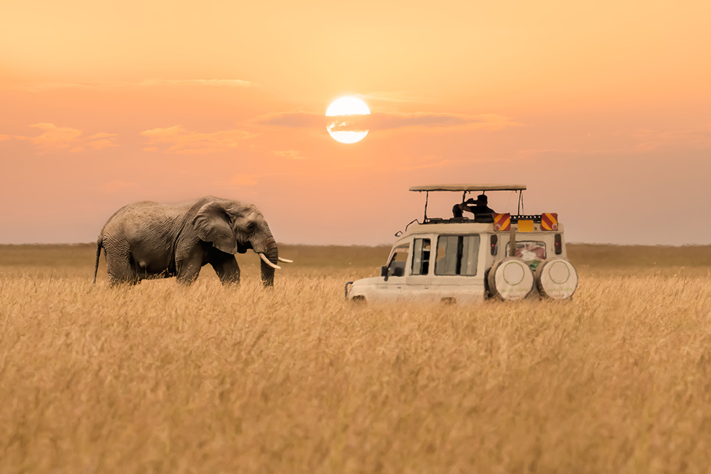 Hôtel Neptune Village Beach Resort & Spa 4* + Safari 3 nuits, Séjour Kenya par Ôvoyages Hôtel Neptune Village Beach Resort & Spa 4* + Safari 3 nuits, Séjour Kenya par Ôvoyages