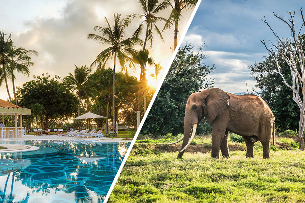 Combiné Ôclub Select Diamonds Malindi 5* + Safari Kudu Camp 1 nuit