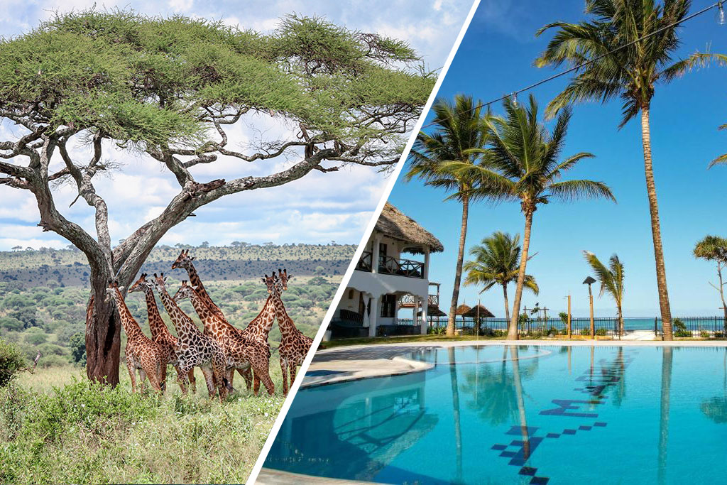 Combiné Ôclub Experience Nest Style Beach Hotel 4* & Safari 2 nuits