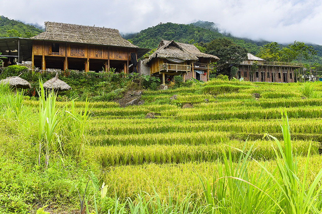 Circuit Paysages Majestueux du Nord au Sud et croisière prestige sur le mythique 14 nuits, Séjour Vietnam par Ôvoyages