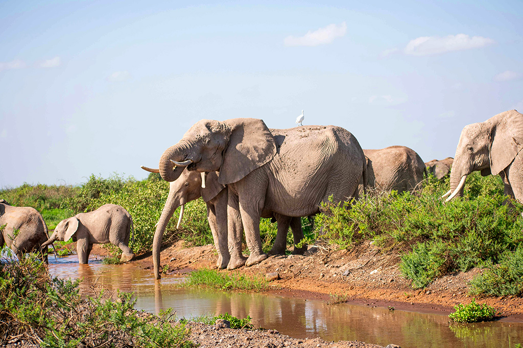Ôcombiné - Ôclub Diamonds Malindi 5* & safari 3 nuits Tsavo, Séjour Kenya par Ôvoyages