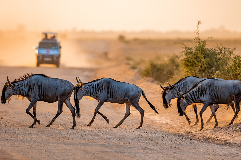 Ôcombiné - Ôclub Diamonds Malindi 5* & safari 3 nuits Tsavo, Séjour Kenya par Ôvoyages
