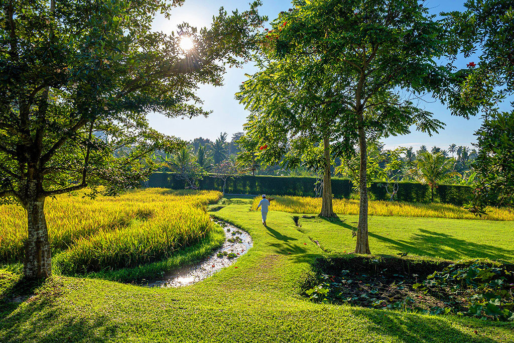 Visesa Ubud Resort 5*, Séjour Indonésie par Ôvoyages
