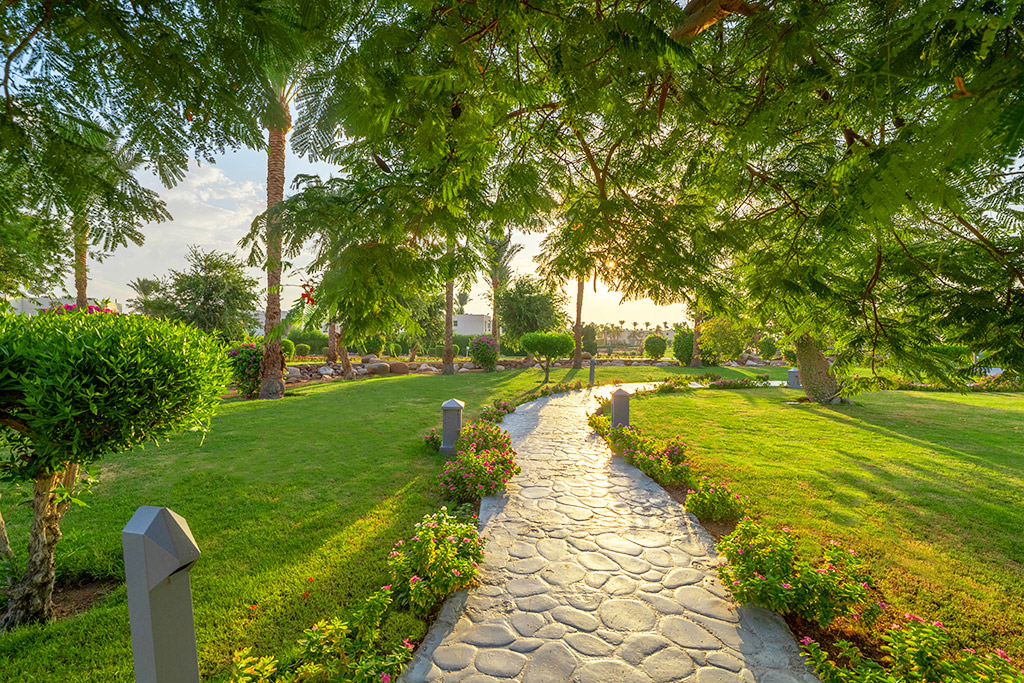 Aurora Oriental Resort 5*