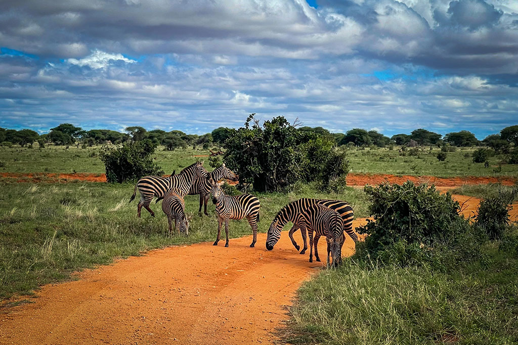 Combiné Exploreans Malaika Villas & Beach Club 3* & Safari 1 nuit dans le parc national de Tsavo Est, Séjour Kenya par Ôvoyages