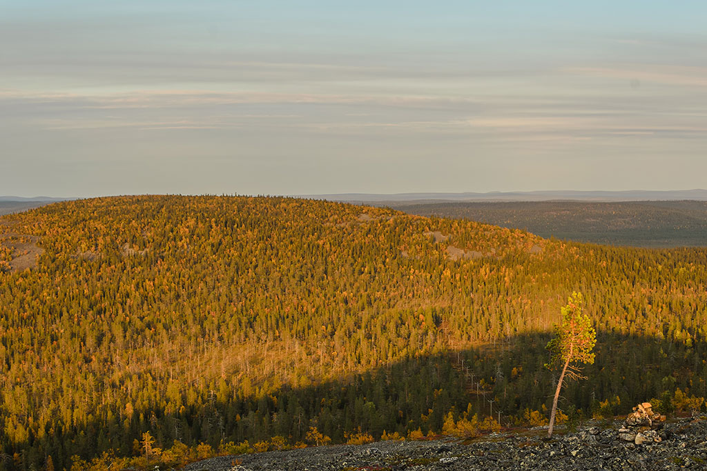 Samperin Savotta 3*, Séjour Finlande par Ôvoyages
