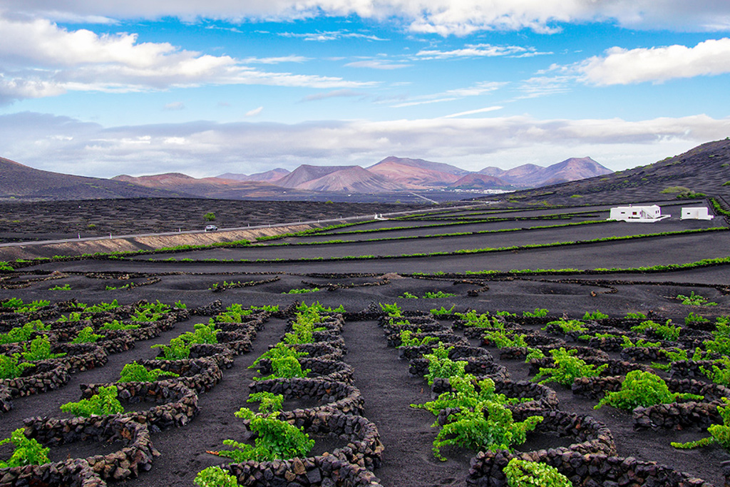 CANARIES | Lanzarote - 8j/7n - Circuit 