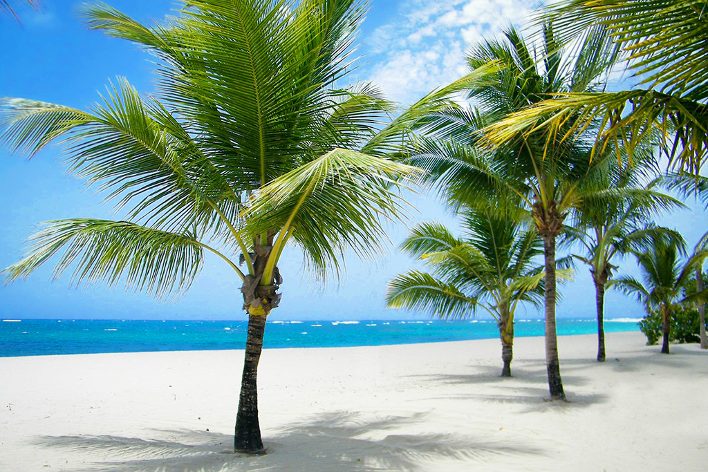 Hôtel Viva Heavens by Wyndham 4*, Séjour République Dominicaine, Puerto Plata par Ôvoyages