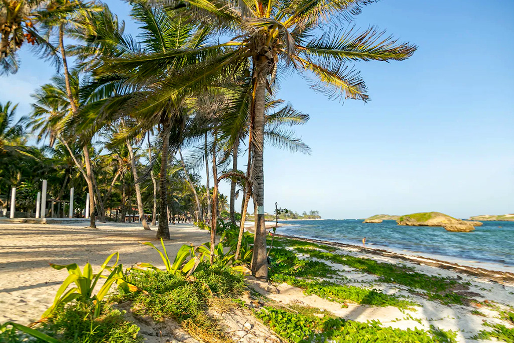 Ôclub Experience Sun Palm Beach Hotel & Resort 4* + Safari 2 nuits, Combiné Kenya par Ôvoyages