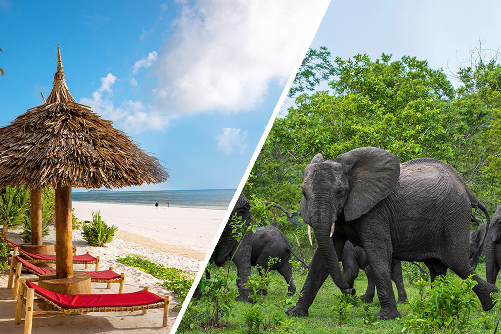 Combiné AHG Sun Bay Mlilile Beach Hotel 4* + Safari 2 nuits dans la réserve de Selous en avion