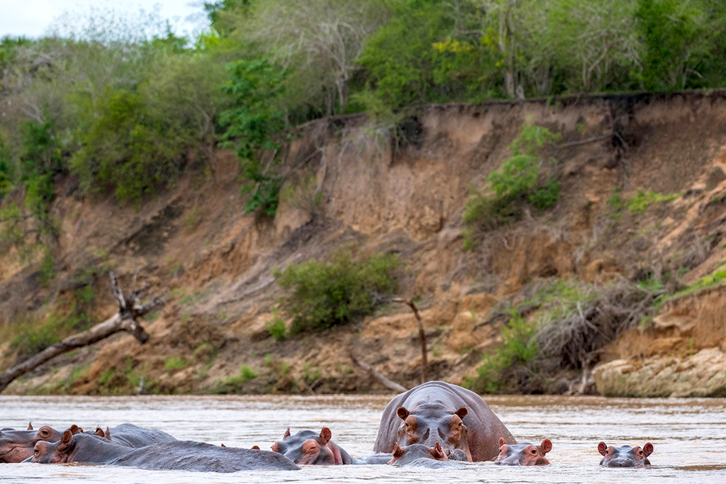 Combiné Diamonds Mapenzi + safari 2 nuits, Combiné Tanzanie par Ôvoyages