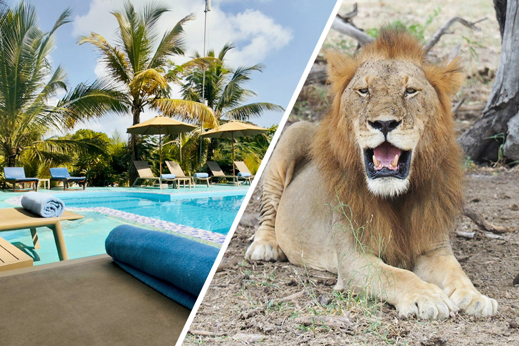 Combiné Smart Club Malika Nungwi 4* + Safari 1 nuit dans la réserve de Selous, Combiné Tanzanie par Ôvoyages