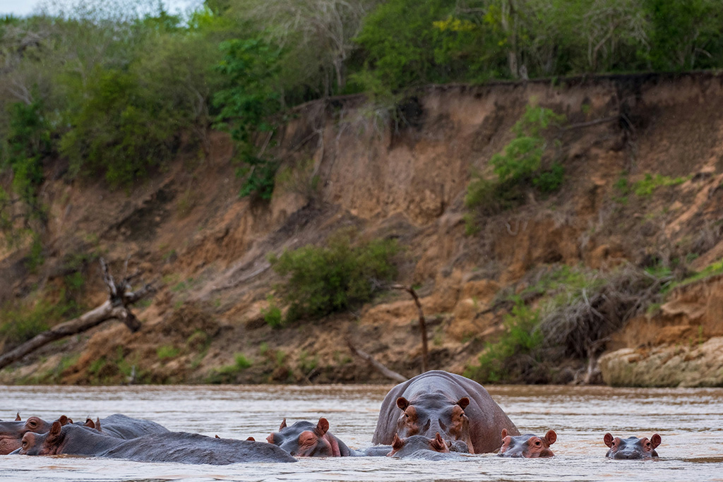 Combiné Smart Club Malika Nungwi 4* + Safari 1 nuit dans la réserve de Selous, Combiné Tanzanie par Ôvoyages