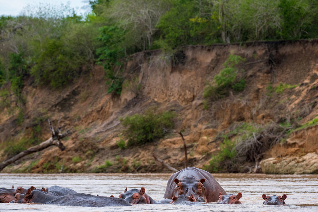 Combiné Royal Zanzibar Beach Resort 5* + Safari 2 nuits dans la réserve de Selous, Combiné Tanzanie par Ôvoyages