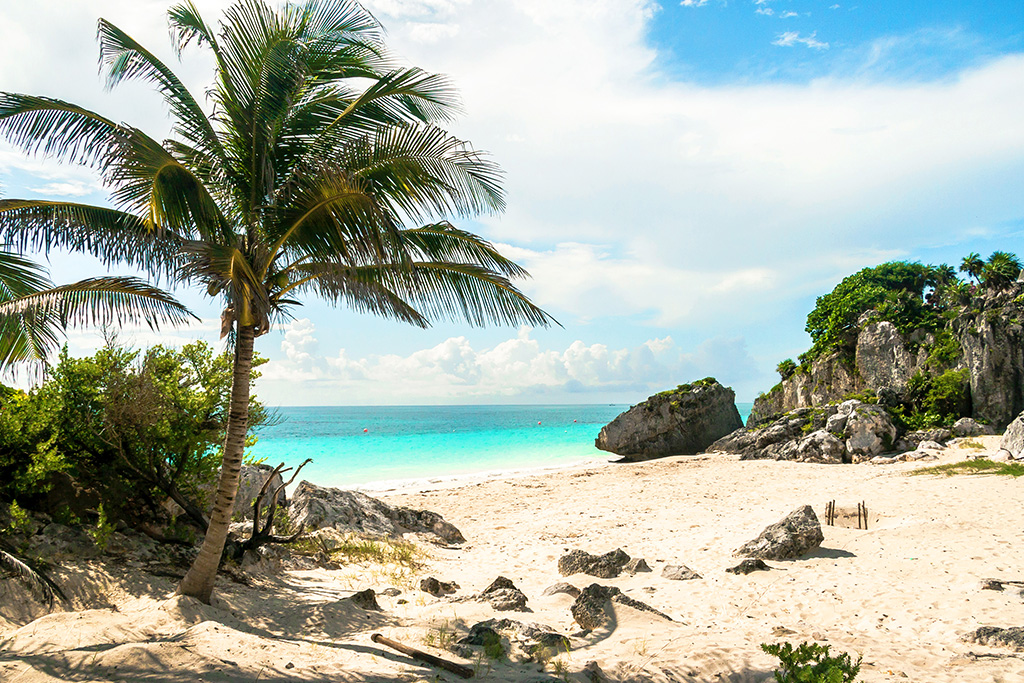 Combiné Ôclub Select Royalton Splash Riviera 5* & Mystique Holbox by Royalton 4*, Séjour Mexique par Ôvoyages Combiné Ôclub Select Royalton Splash Riviera 5* & Mystique Holbox by Royalton 4*, Séjour Mexique par Ôvoyages