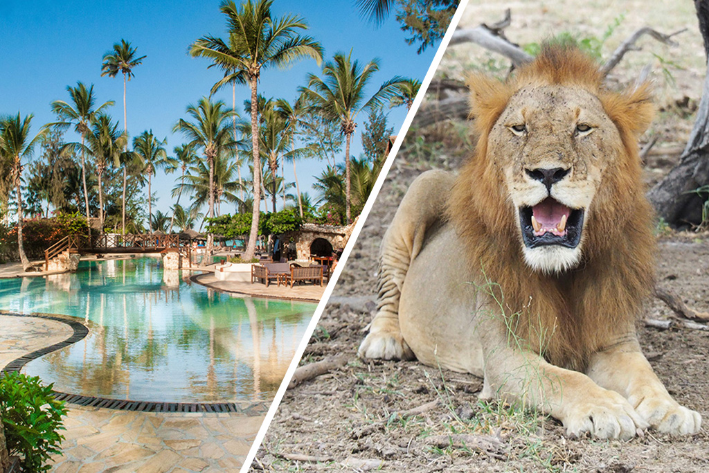 Combiné Jaz Amaluna 4* Adult Only + 16 & Safari 2 nuits dans la réserve de Selous en avion