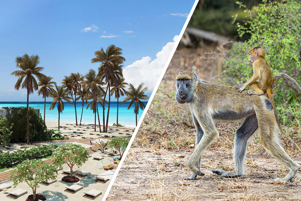 Jaz Aurora Beach + Safari 2n AVION 5*