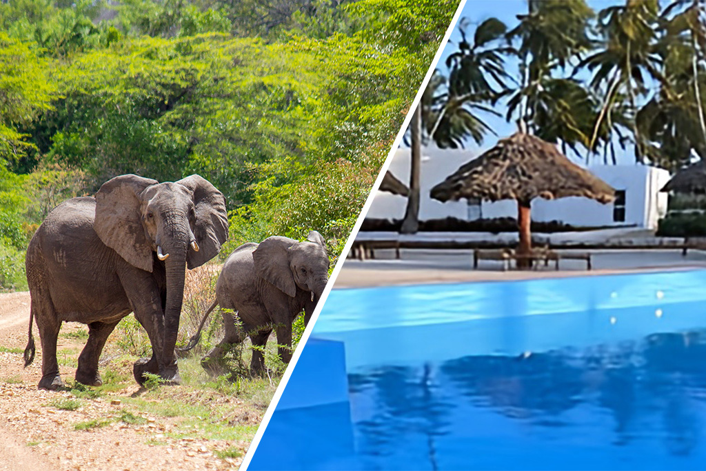 Combiné SBH Kilindini 5* & Safari 2 nuits dans la réserve de Selous en avion, Combiné Tanzanie, Zanzibar par Ôvoyages