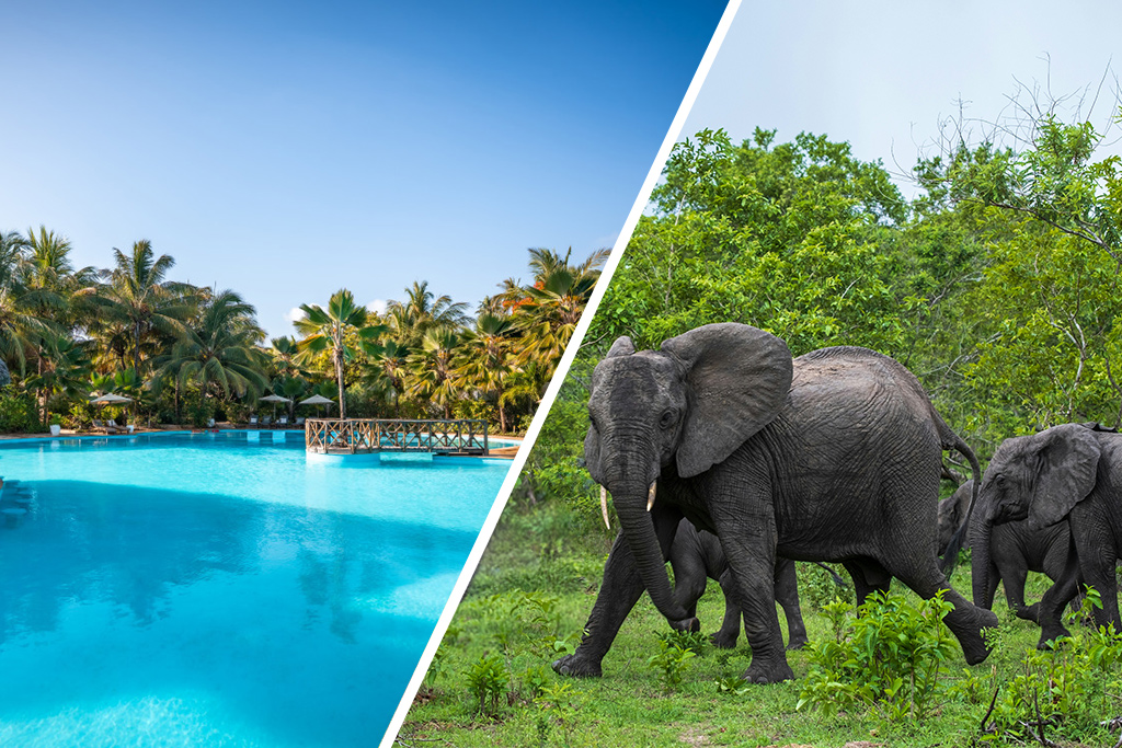 Combiné White Paradise 4* + Safari 2 nuits dans la réserve de Selous en avion