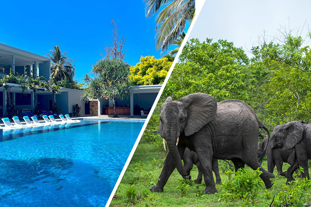 Combiné Matemwe Sands Beach Resort 5* + Safari 2 nuits dans la réserve de Selous en avion