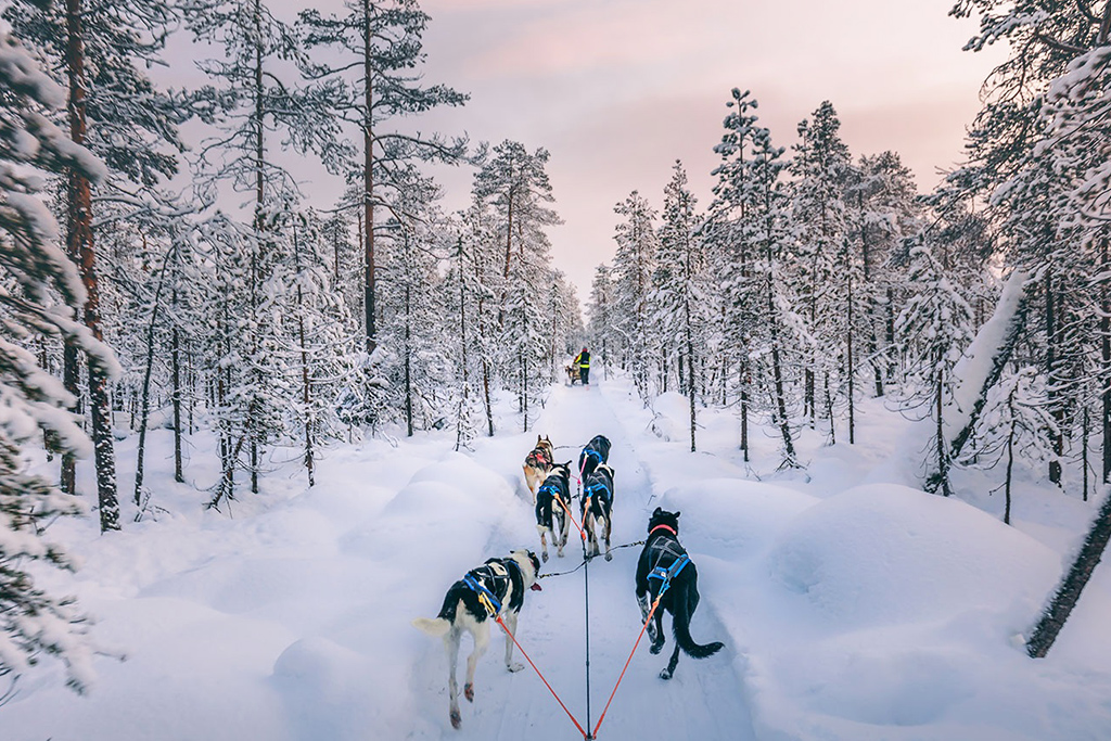 Nilimella, Séjour Finlande par Ôvoyages