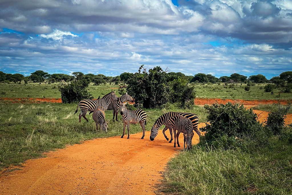 Circuit entre savane et Océan Indien : Amboseli, Tsavo et Malindi en 7 nuits, Séjour Kenya par Ôvoyages