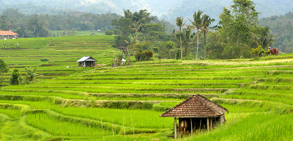 Circuit Irrésistible Bali 3* & 4*, Circuit Indonésie, Bali par Ôvoyages