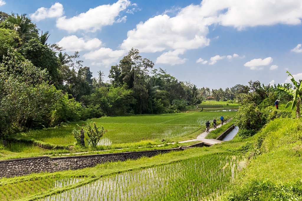 Combiné Ubud & Nusa Dua : Candy Villas by Pramana 4* & Ôclub Select Merusaka Nusa Dua 5*, Séjour Indonésie par Ôvoyages