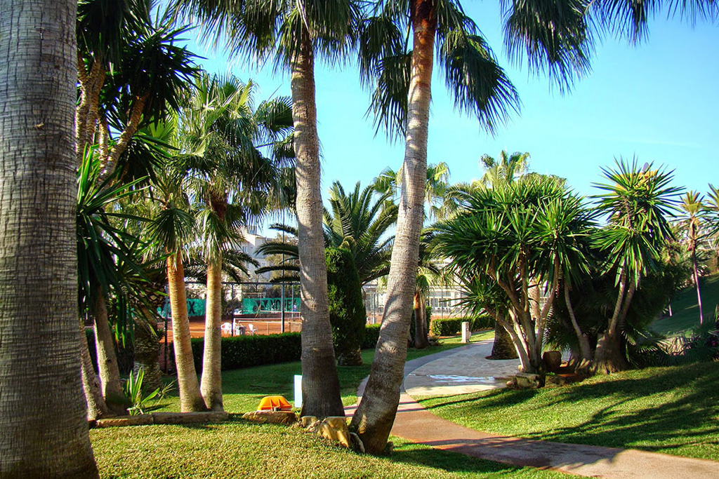 Hôtel Senator Club Simo 3*, Séjour Espagne & ses îles, Baléares, Majorque par Ôvoyages