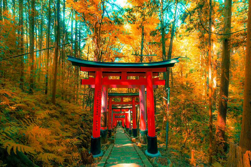 Ôcircuit Essentiel - Premiers regards sur le Japon, Séjour Japon par Ôvoyages