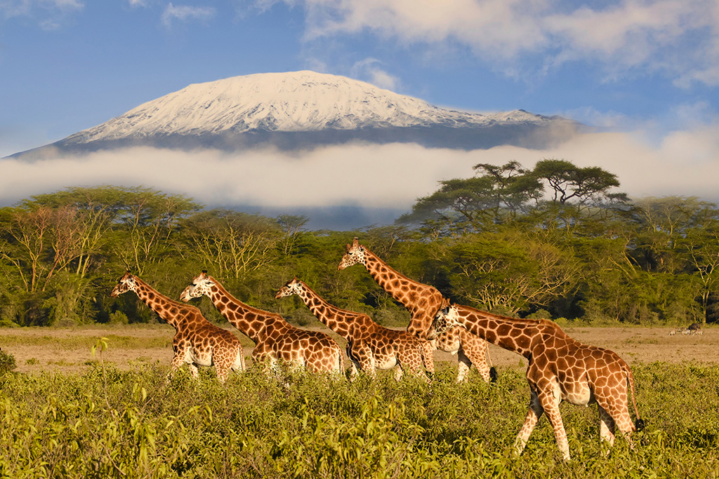 Circuit Découverte du Kenya, de la Savane à l'Océan Indien en 7 nuits, Circuit Kenya par Ôvoyages