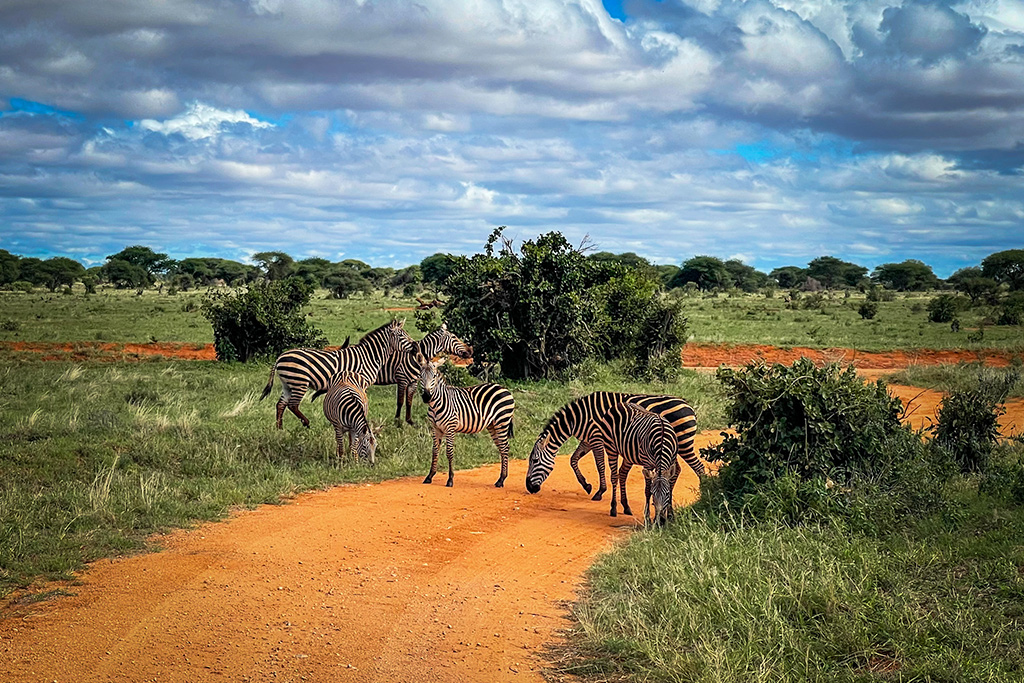 Circuit Découverte du Kenya, de la Savane à l'Océan Indien en 7 nuits, Circuit Kenya par Ôvoyages