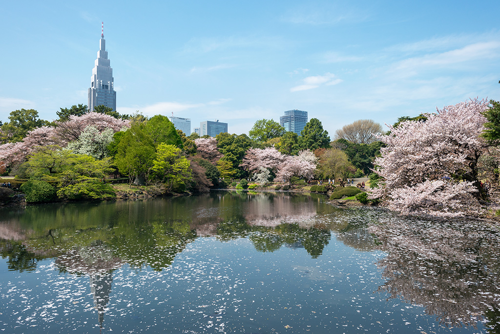 Ôcombiné - Tokyo & Kyoto, entre Traditions & Modernité, Combiné Japon par Ôvoyages
