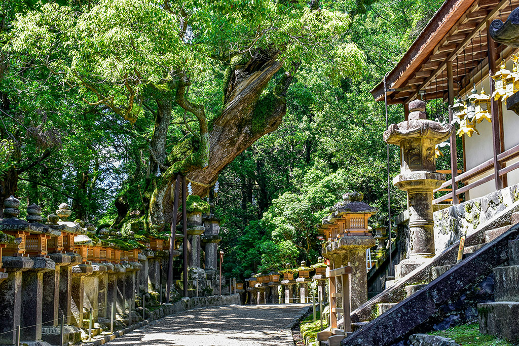 Ôcombiné - Tokyo & Kyoto, entre Traditions & Modernité, Combiné Japon par Ôvoyages