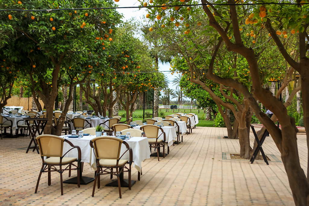 Ôcombiné - Amadil Ocean Club Agadir 4* & Domaine Villate Limoune 4* by Ôvoyages, Combiné Maroc, Agadir par Ôvoyages