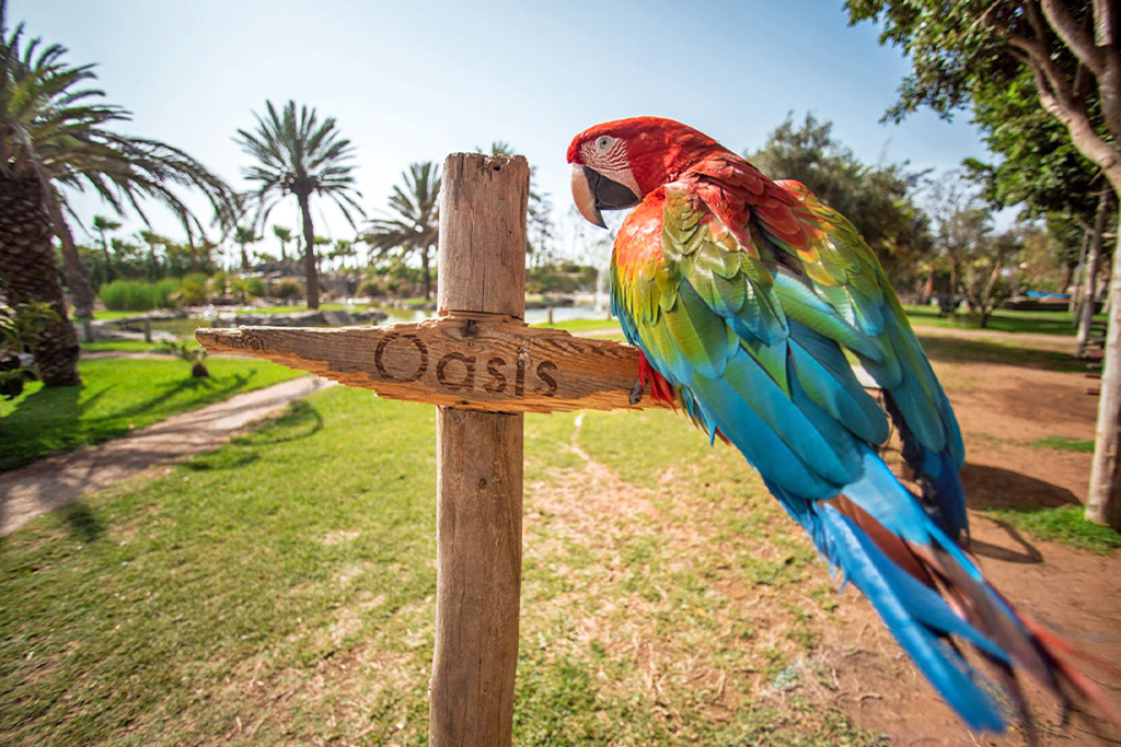 Ôcombiné - Amadil Ocean Club Agadir 4* & Domaine Villate Limoune 4* by Ôvoyages, Combiné Maroc, Agadir par Ôvoyages