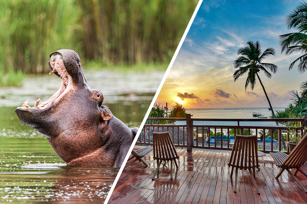 Ôcombiné Kena Beach Hotel 4* Sup & Safari 2 nuits dans le Selous en avion, Circuit Tanzanie, Zanzibar par Ôvoyages